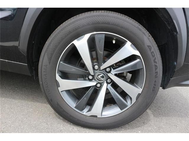 LEXUS NX300
