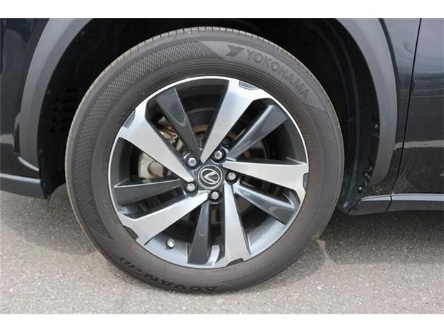 LEXUS NX300