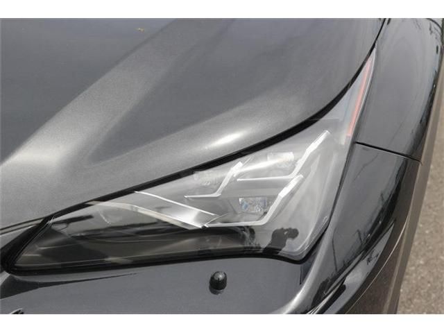 LEXUS NX300