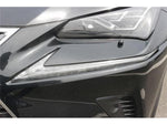 LEXUS NX300