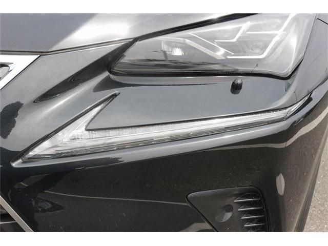 LEXUS NX300