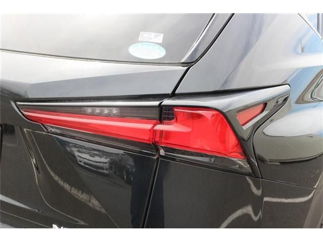 LEXUS NX300