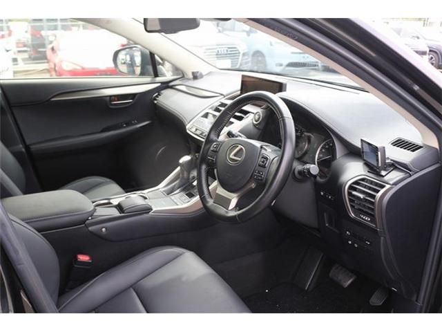 LEXUS NX300