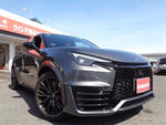 LEXUS LBX