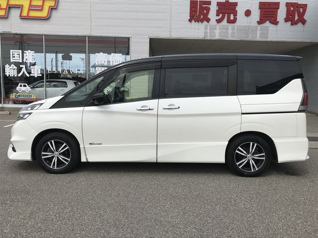 SERENA  S-HYBRID