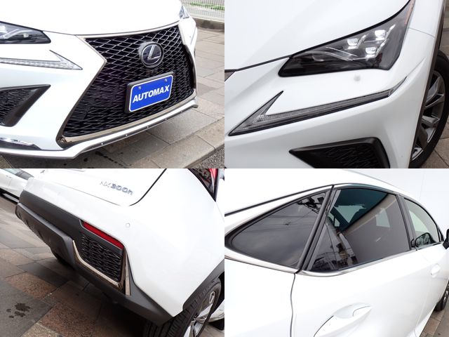 LEXUS NX300h