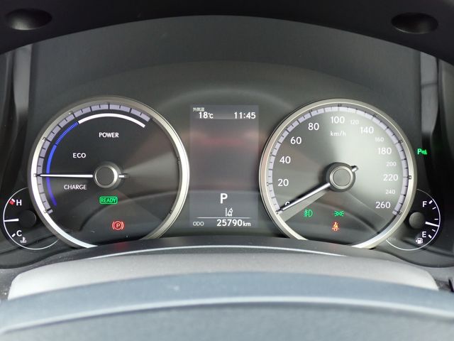 LEXUS NX300h