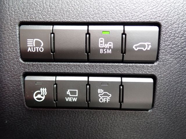 LEXUS NX300h