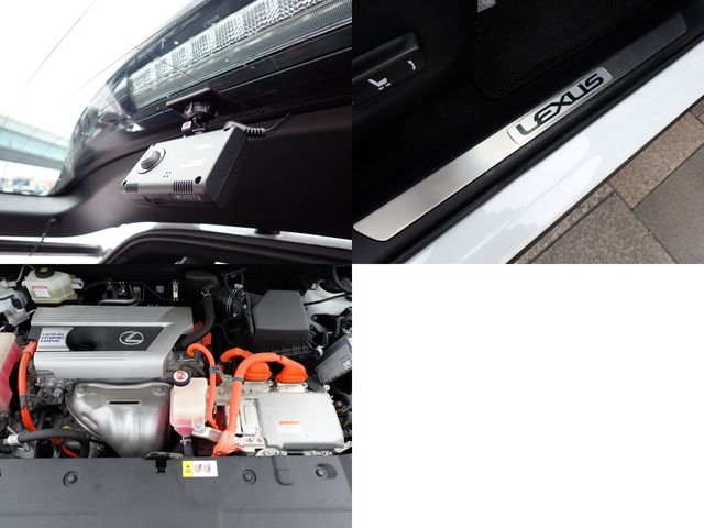 LEXUS NX300h