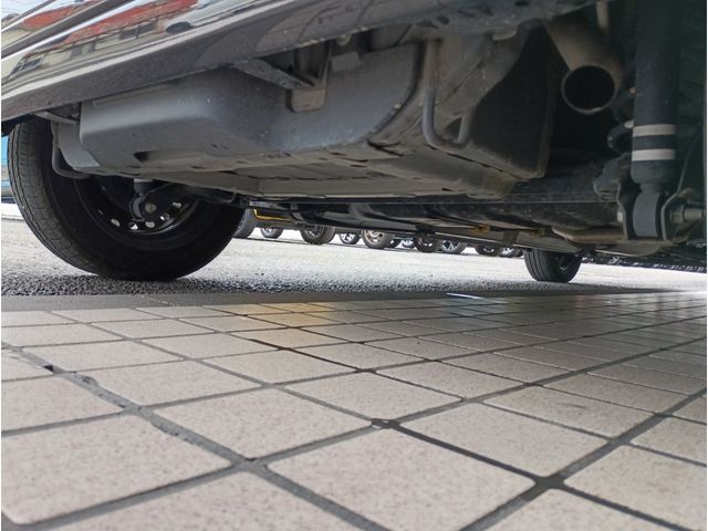 PIXIS MEGA
