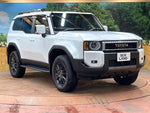 LANDCRUISER 250