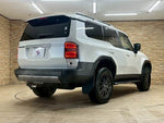 LANDCRUISER 250