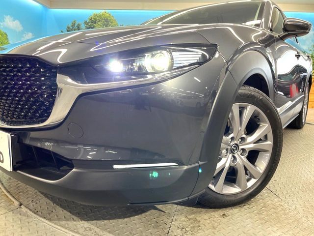 CX-30