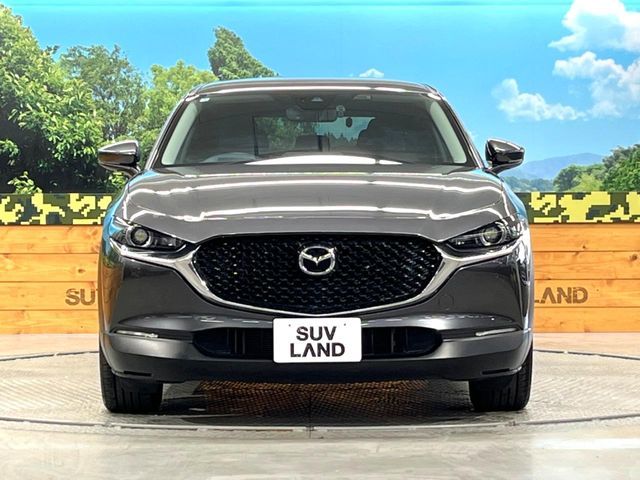 CX-30