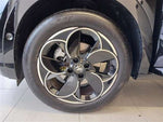 ALFAROMEO Junior