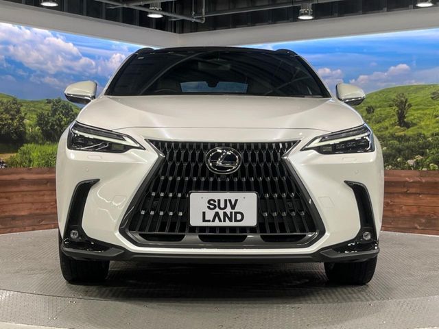 LEXUS NX350h