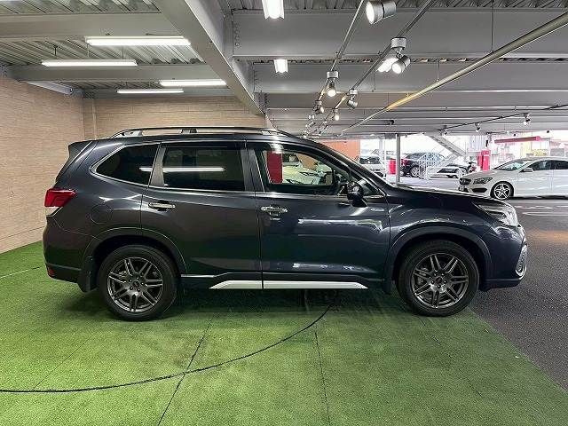 FORESTER