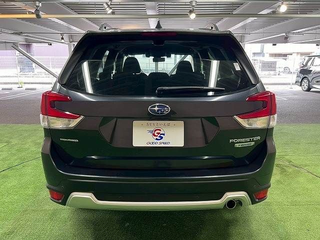 FORESTER