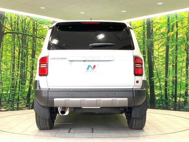 LANDCRUISER 250