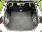 RAIZE HYBRID