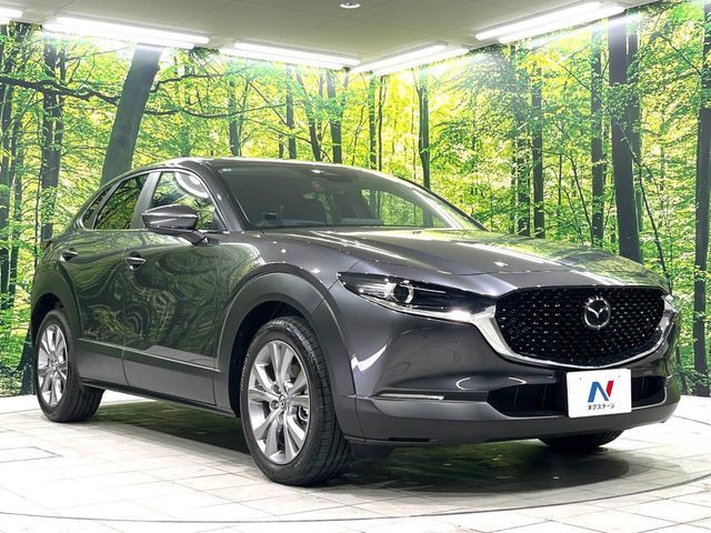 CX-30