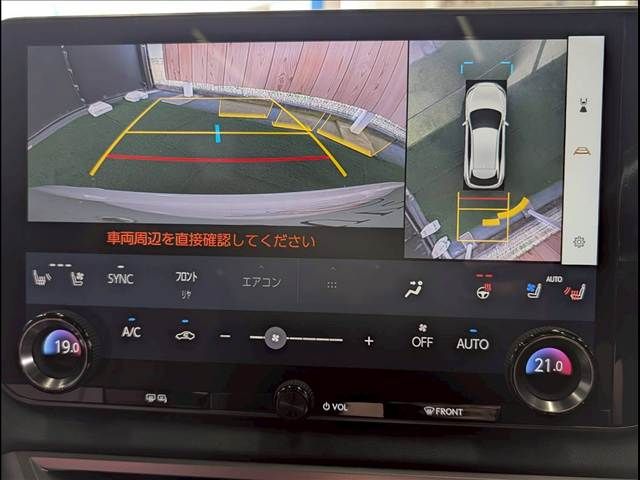 LEXUS RX500h