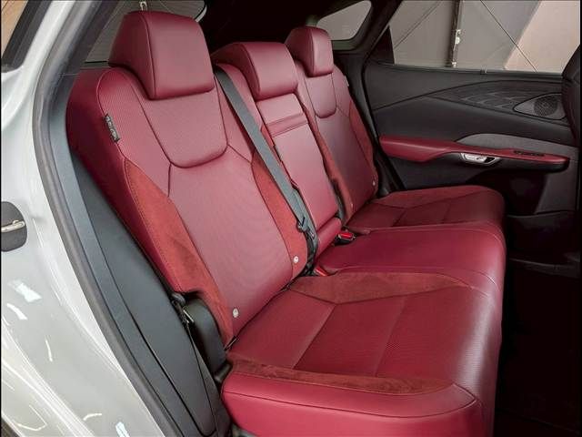 LEXUS RX500h