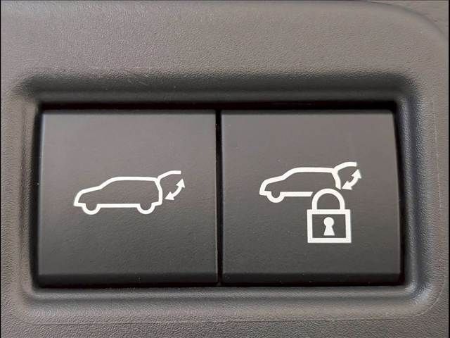 LEXUS RX500h