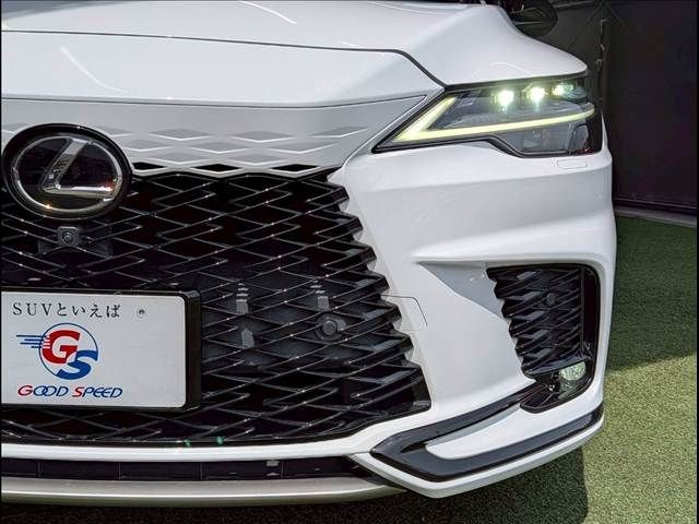 LEXUS RX500h