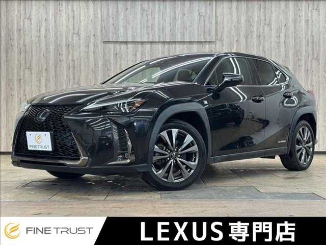 LEXUS UX250h