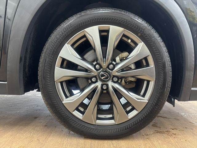 LEXUS UX250h