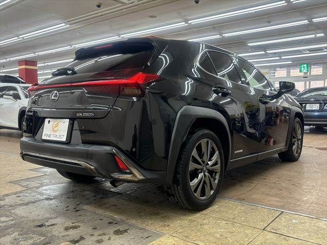 LEXUS UX250h
