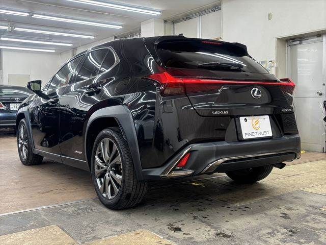 LEXUS UX250h