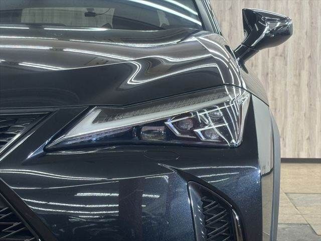 LEXUS UX250h