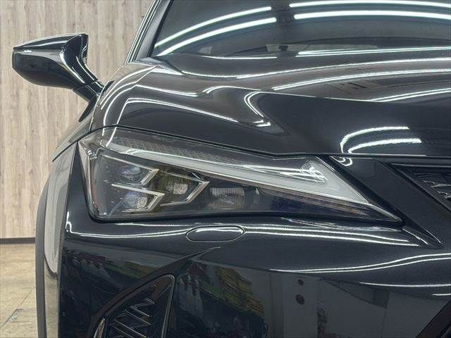 LEXUS UX250h