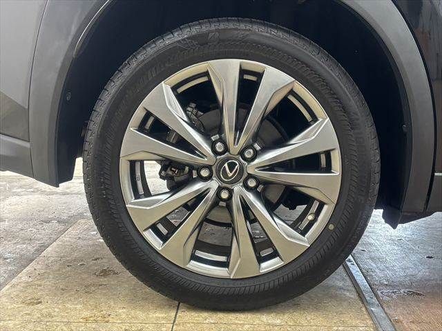 LEXUS UX250h