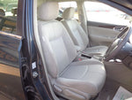 Sylphy