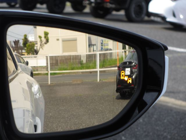 LEXUS IS300h