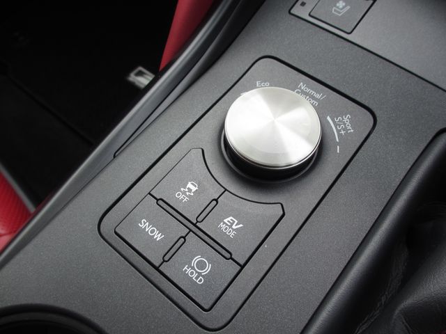 LEXUS IS300h