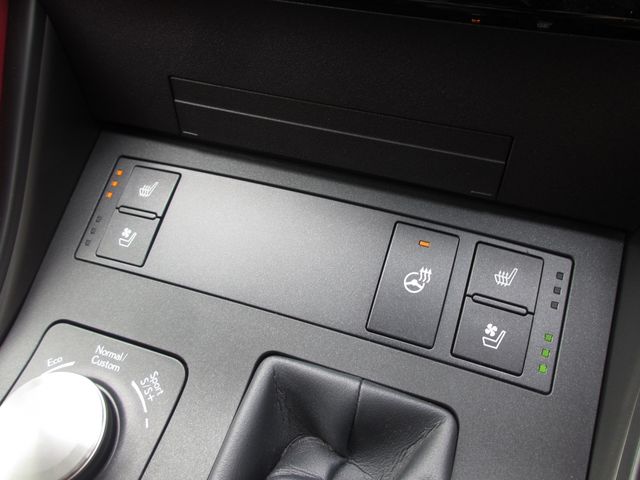 LEXUS IS300h