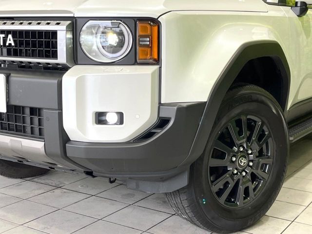 LANDCRUISER 250
