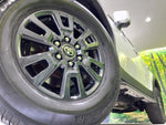 LANDCRUISER 250