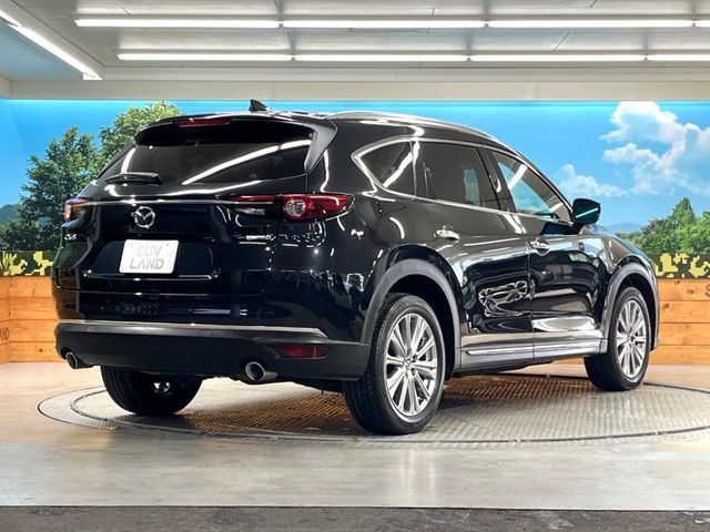 CX-8
