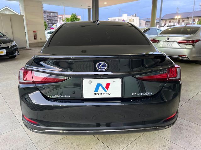 LEXUS ES300h