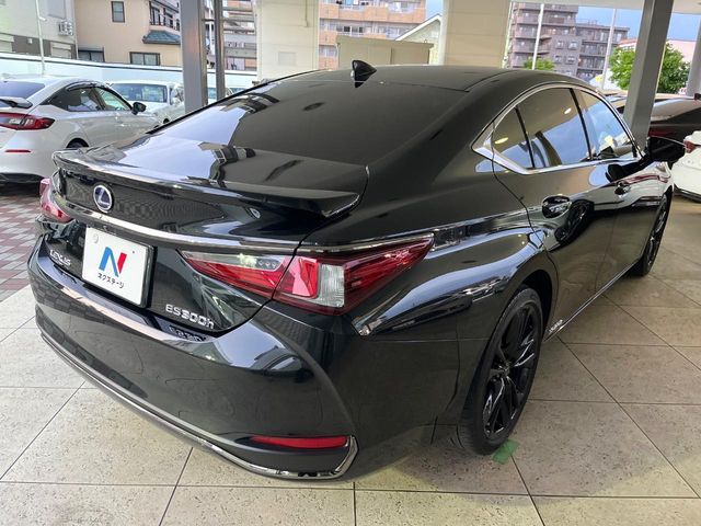 LEXUS ES300h