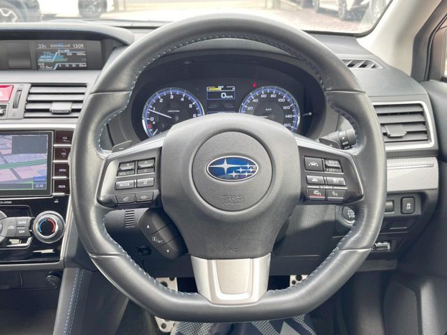 LEVORG