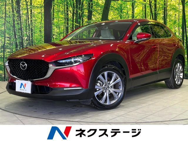 CX-30