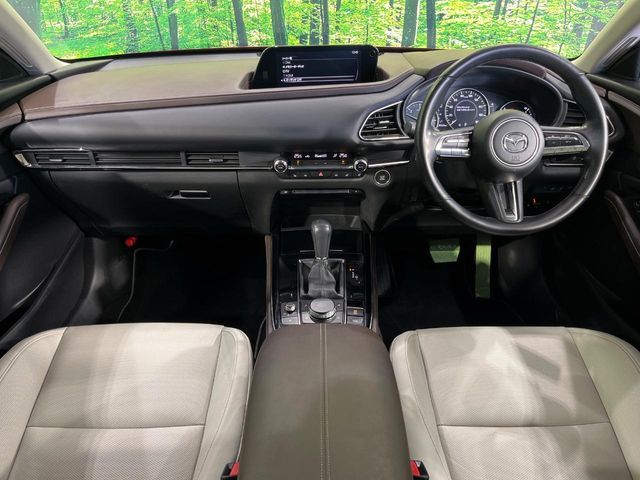 CX-30