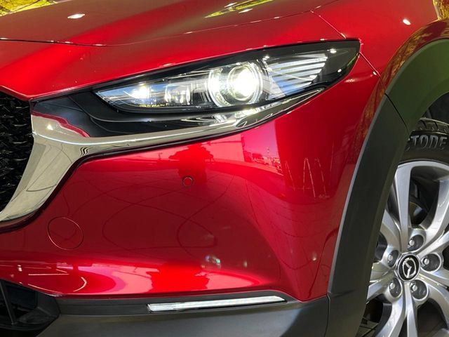 CX-30