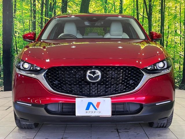 CX-30